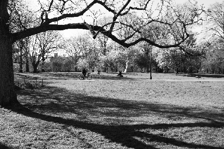 Upper eastside afternoon: 20X30IN (A1 format) high quality archival print. Free shipping in the U.S. thumbnail