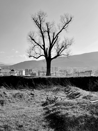 Transient: 8X10 inch (A4 format) high quality archival print.  thumbnail