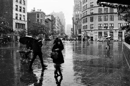 Playful: 16X20IN (A2 format) high quality archival print. Free shipping in the U.S. thumbnail