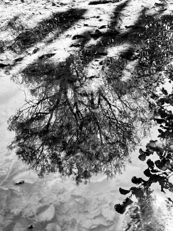 Momentary Patterns: 8X10 inch (A2 format) high quality archival print.  thumbnail