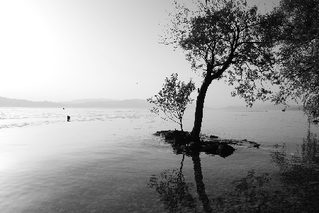 A Quiet Place: 16X20IN (A2 format) high quality archival print. Free shipping in the U.S. thumbnail