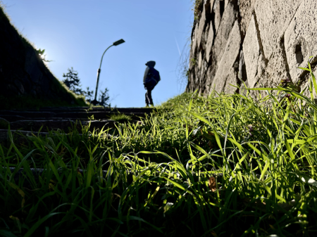 Spirited Away: 8X10 inch (A4 format) high quality archival print.  thumbnail