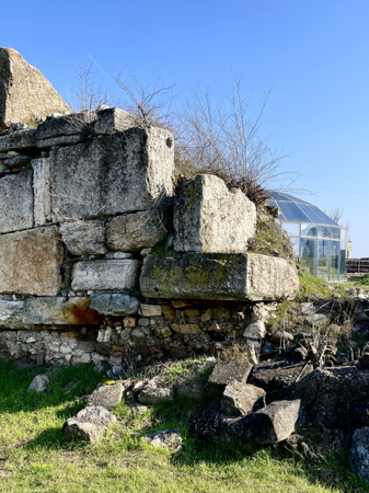 Disharmony: 8X10 inch (A4 format) high quality archival print. thumbnail