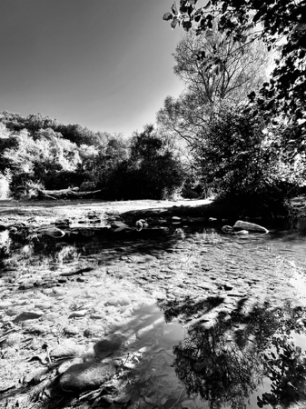 Sentimental Moment: 8X10 inch (A4 format) high quality archival print.  thumbnail