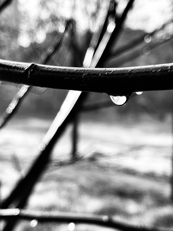 禊  (Misogi) - 8X10 inch (A4 format) archival print.  thumbnail