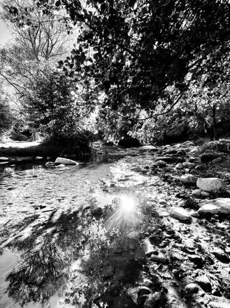 Kami: 8X20 inch (A4 format) high quality archival print.  thumbnail