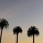 Shop NATIVE  thumbnail