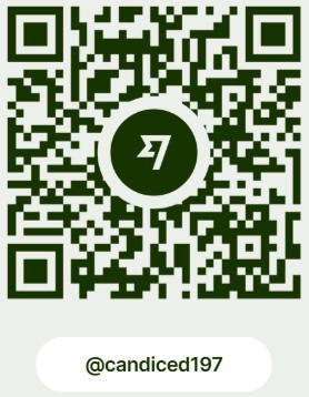 Click here to donate through the Wise app thumbnail