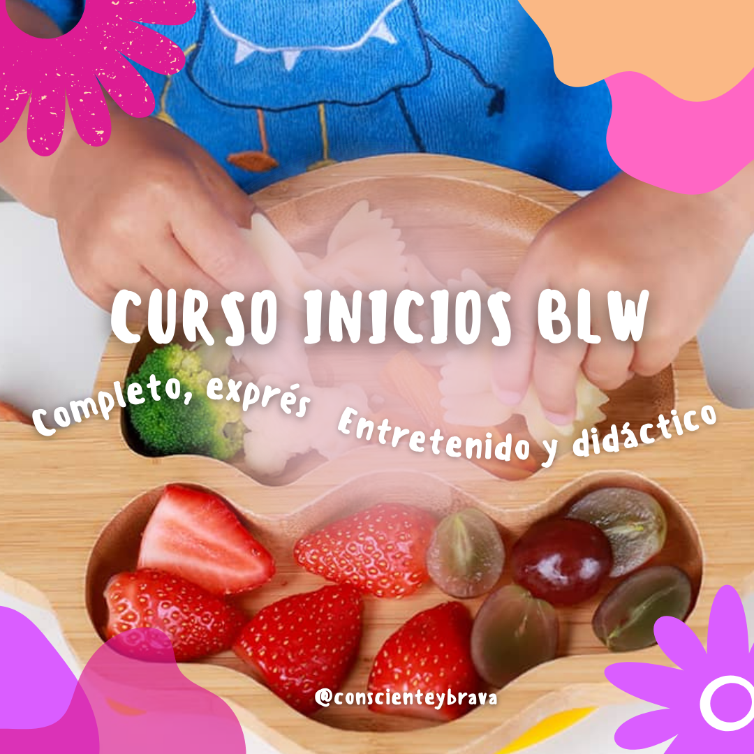 CURSO Inicios BLW, relación con la Comida y Alimentación Consciente thumbnail