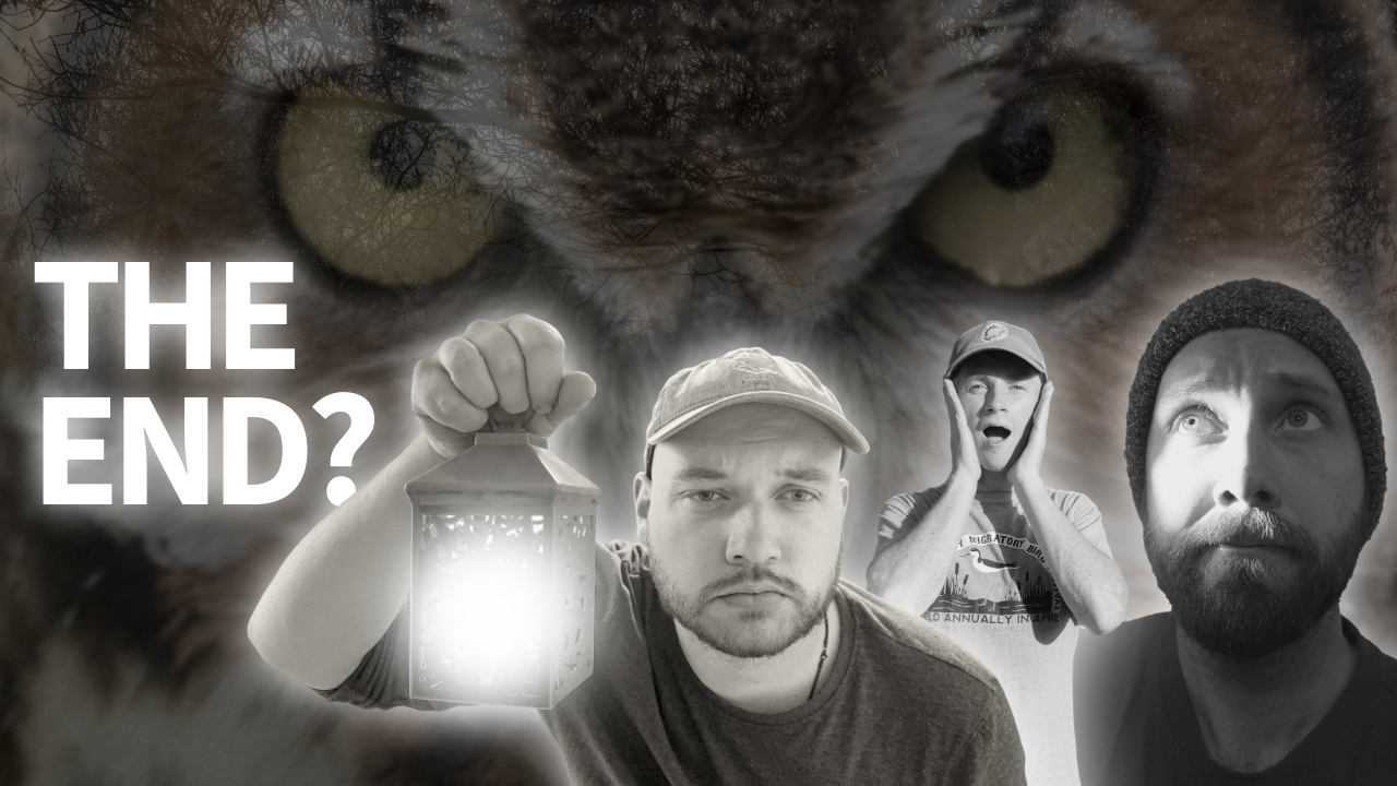 I Gathered the GREATEST Birdtubers to Find the Spookiest Birds! thumbnail