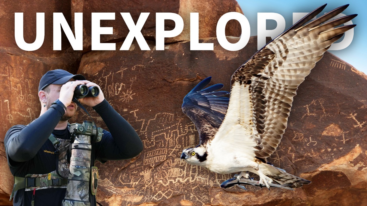 Finding RARE birds near ANCIENT writings thumbnail