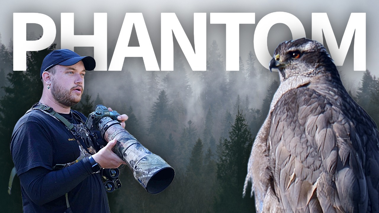I finally filmed the Phantom of the Forest (RARE HAWK) thumbnail