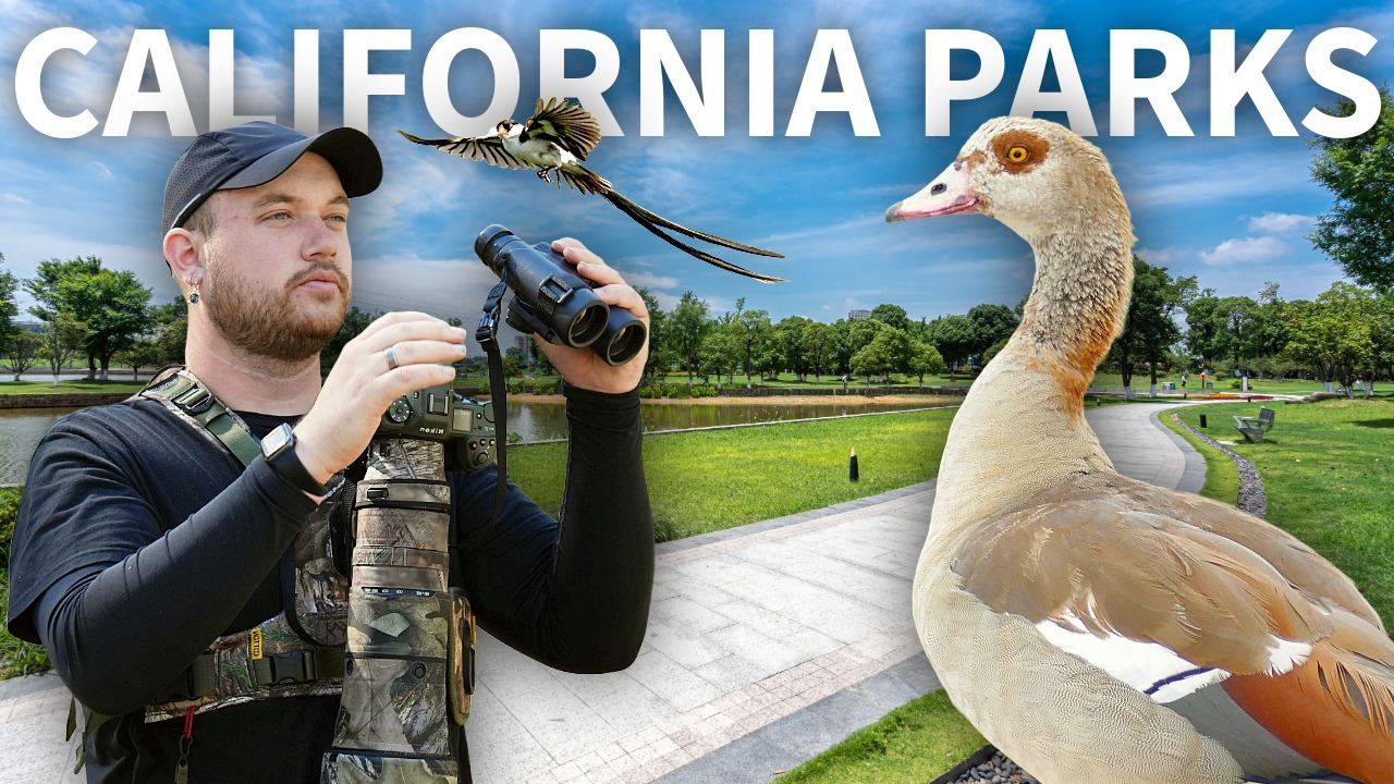 Is This the New BEST Park in SoCal for Birding? thumbnail