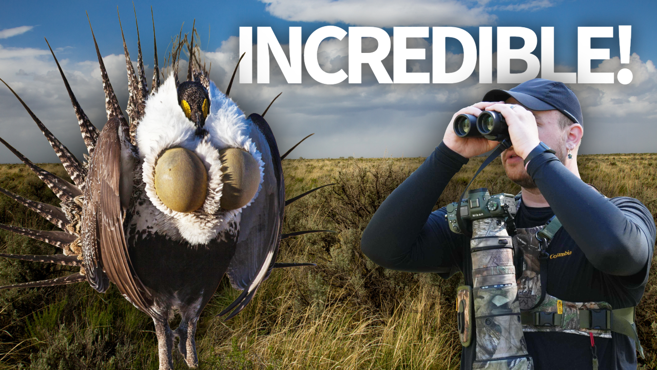 Birding the Greatest Bird Spectacle on Earth! thumbnail