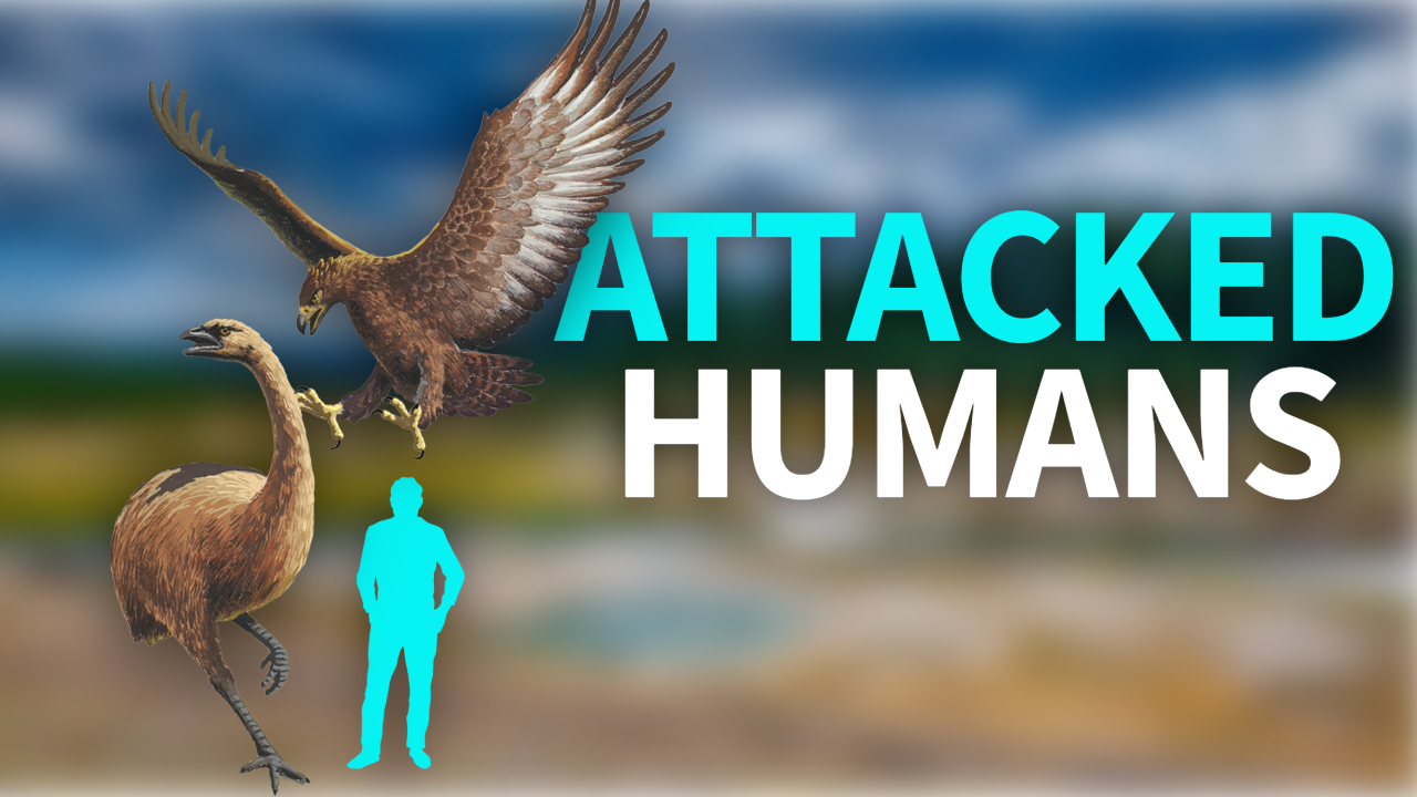 5 TERRIFYING Birds You Should Be GLAD Went Extinct thumbnail