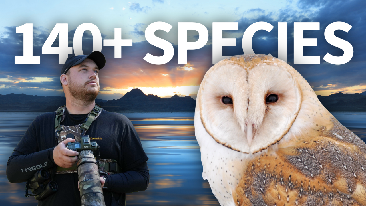 Seeing 140+ Bird Species in 16 Hours! Global Big Day! thumbnail