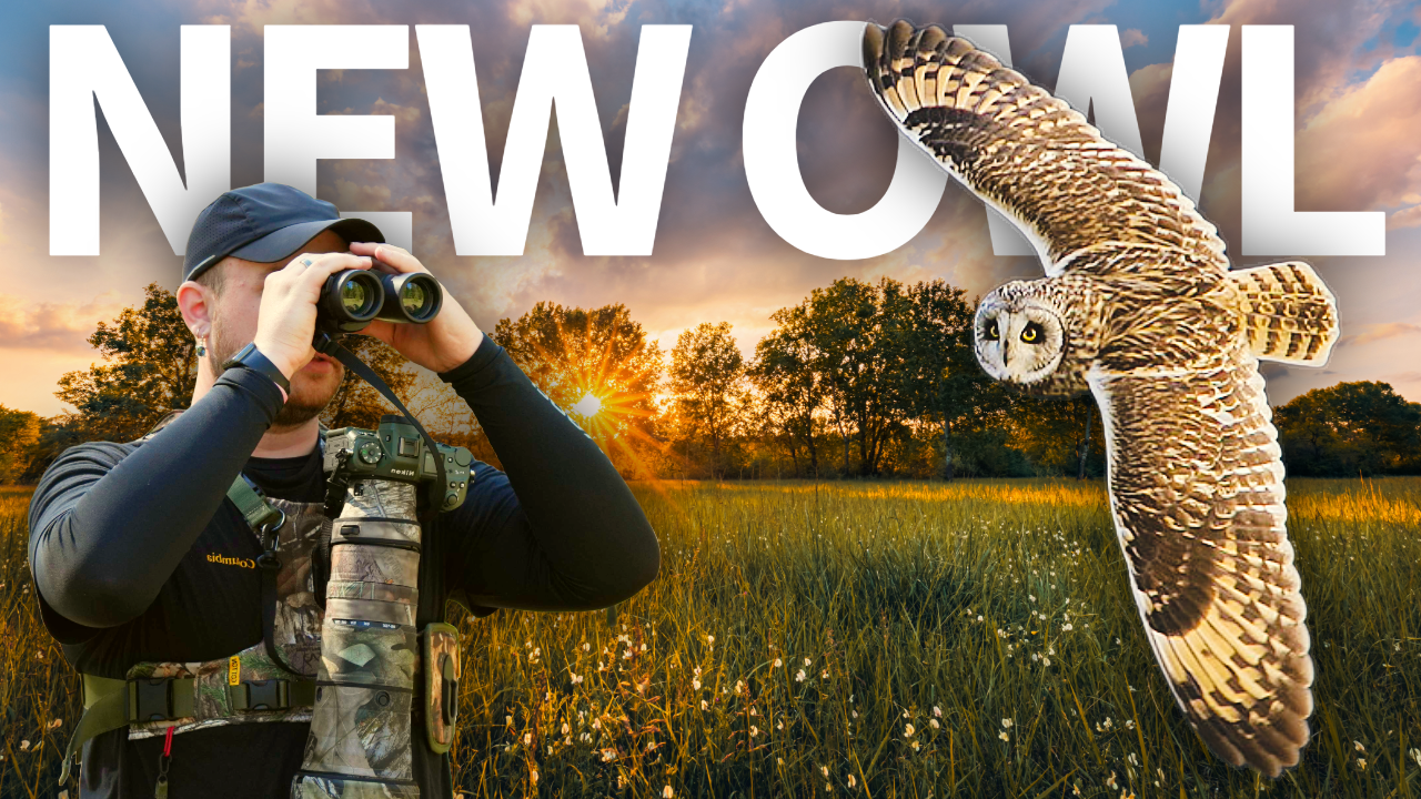 Oregon Birding Delivers! Incredible Owl Encounter! thumbnail