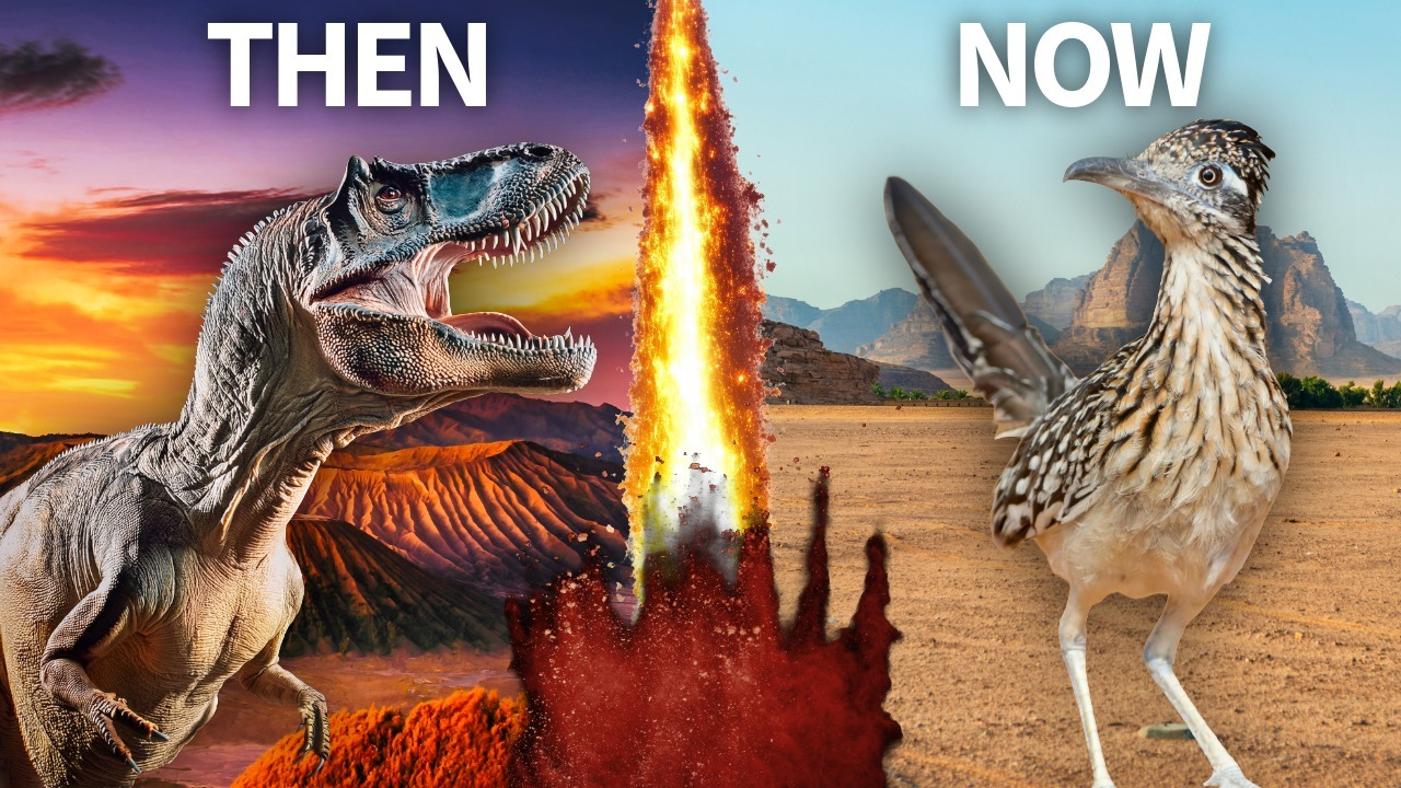 The Age of the Dinosaurs Never Ended... It Just Took Flight thumbnail