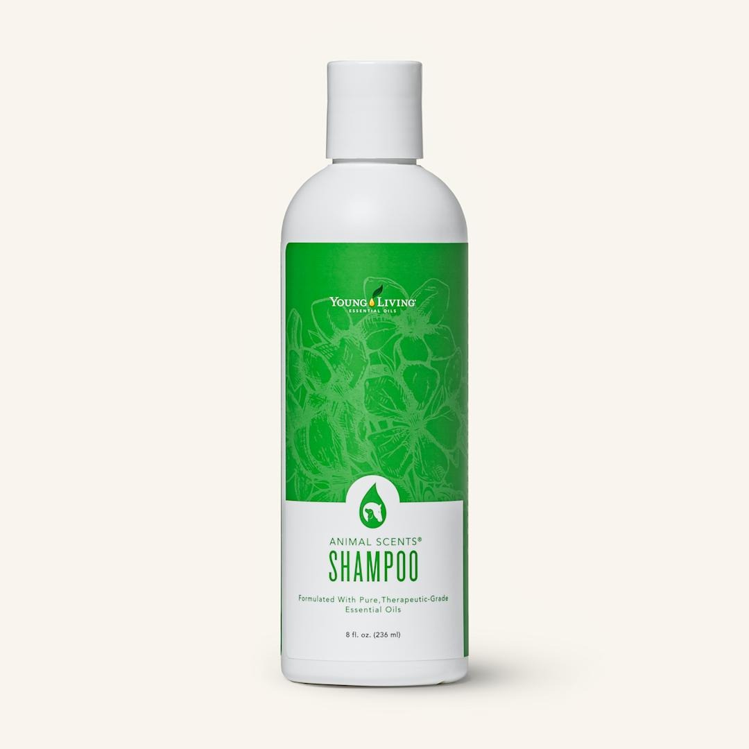 Young Living Animal Scents Shampoo thumbnail