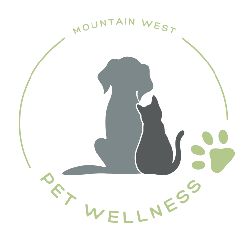 Certified Holistic Pet Health Coach thumbnail