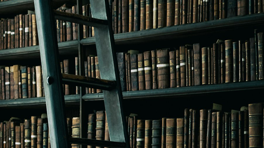 BioSite banner for @courses
