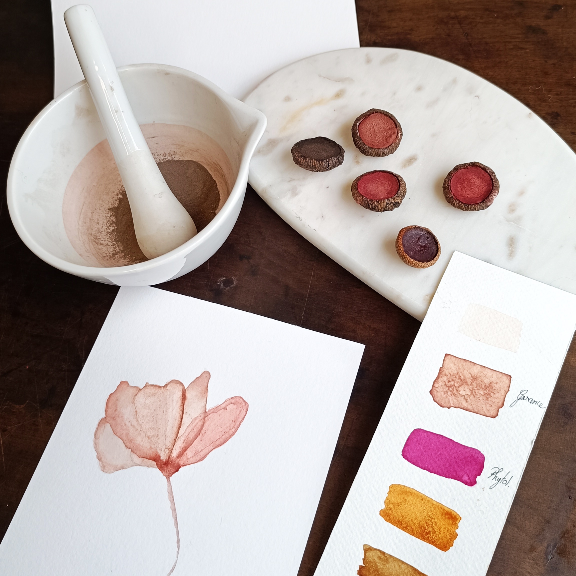 07/06 - 10h-17h : Integrale - Couleurs végétales : fabriquer son aquarelle de A à Z - Chez L'encrière végétale  thumbnail