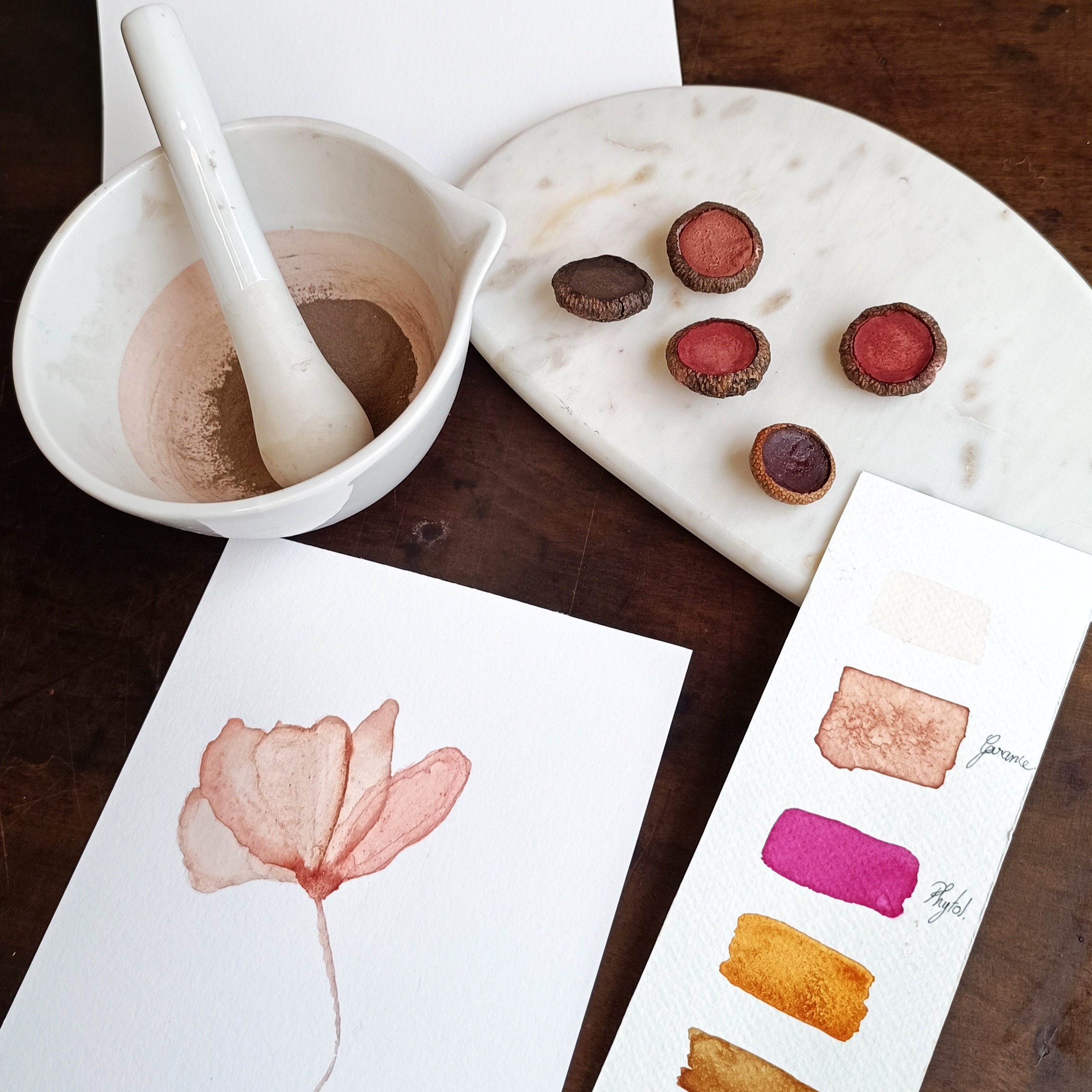 27/06 - 10h - 17h : Integrale - Couleurs végétales : fabriquer son aquarelle de A à Z - Chez L'encrière végétale thumbnail