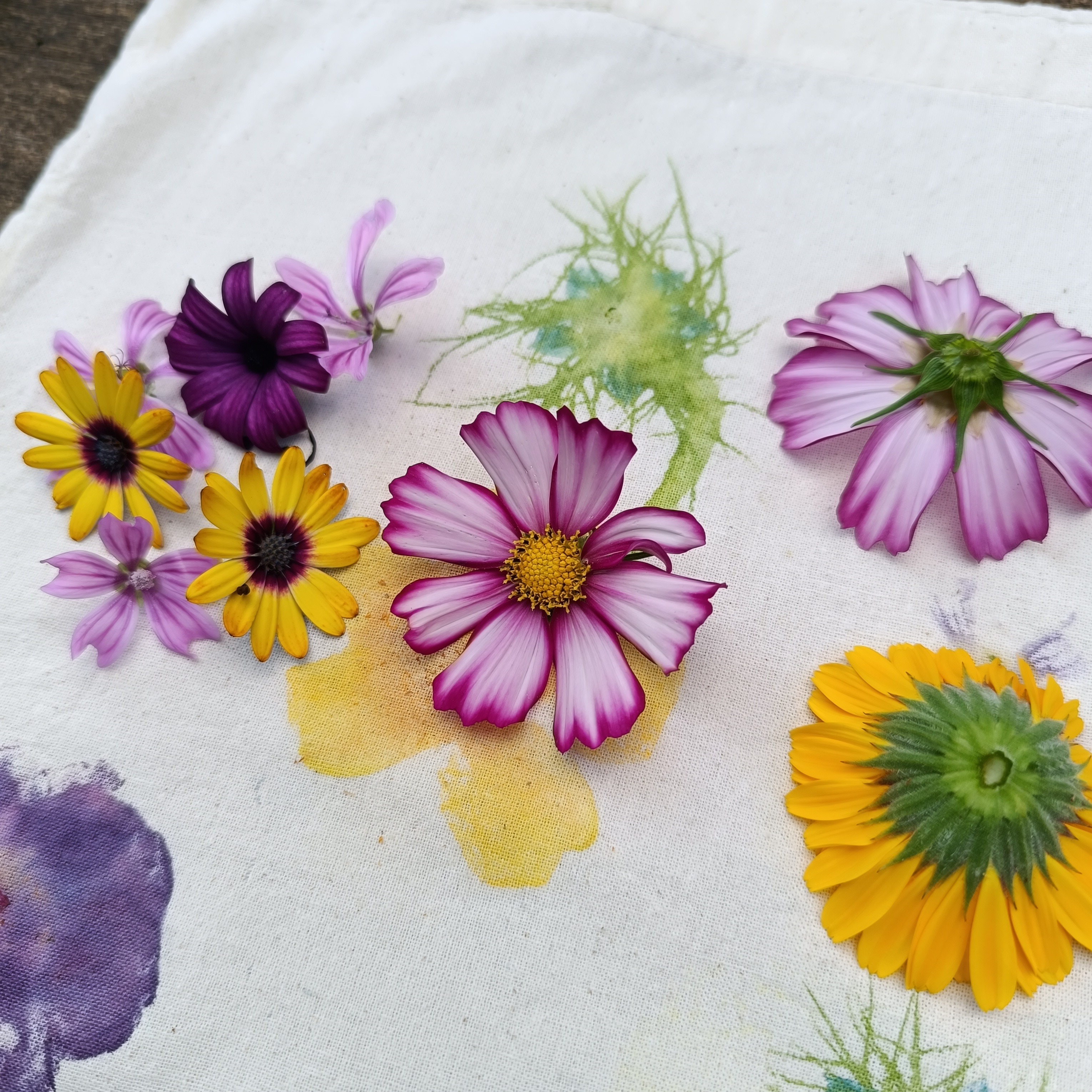 23/05 - 14h30-17h30 : Découverte – Teinture végétale : impressions végétales / tataki-zomé - Kreatiss Plaisance du touch thumbnail