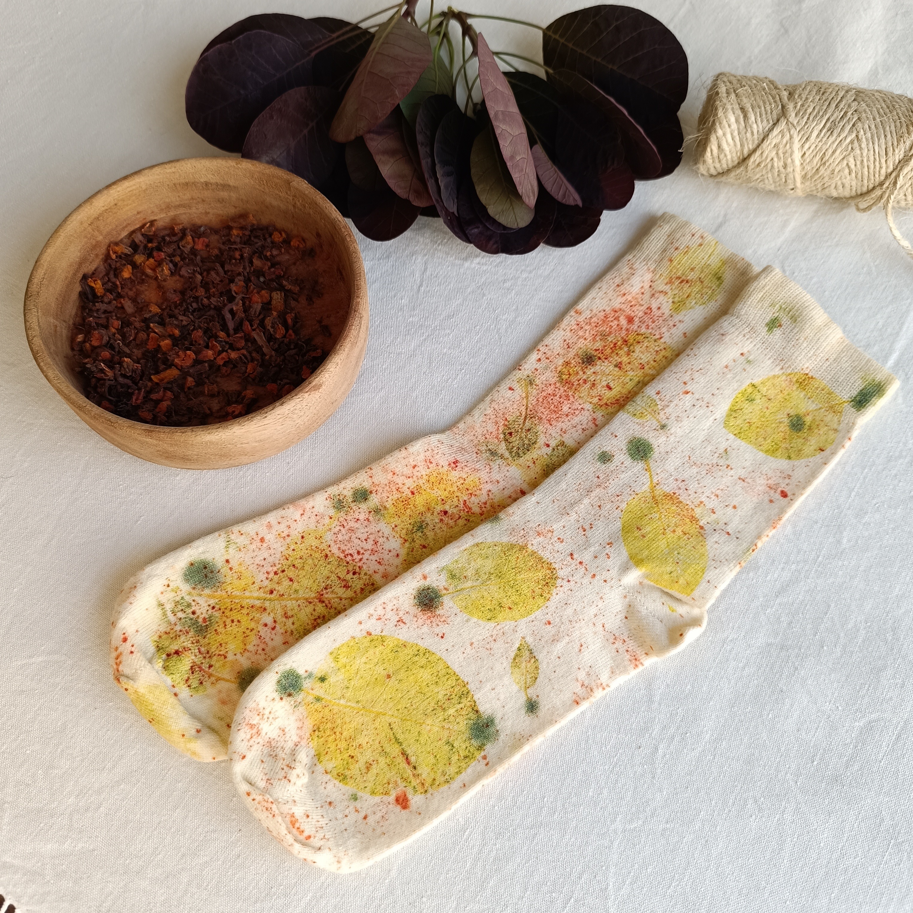 04/04 - 14h-16h : Exploration - Teinture végétale sur chaussettes - Biso Toulouse thumbnail