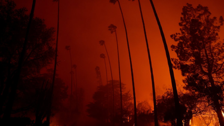 HOW YOU CAN HELP THOSE IMPACTED BY LA FIRES thumbnail