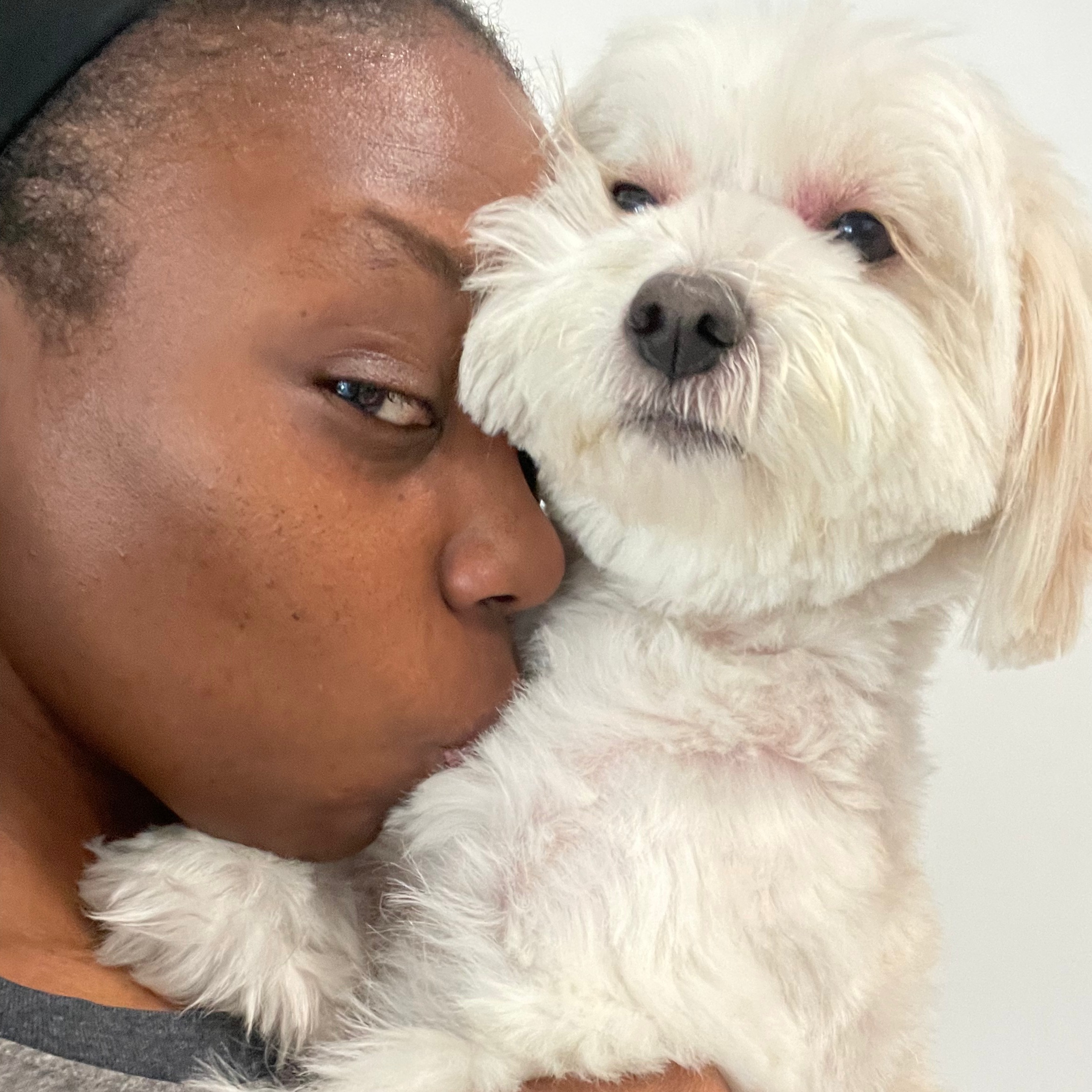 Find Pet Care thumbnail