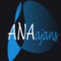 ANAajans Stratejik Hizmetler WP thumbnail