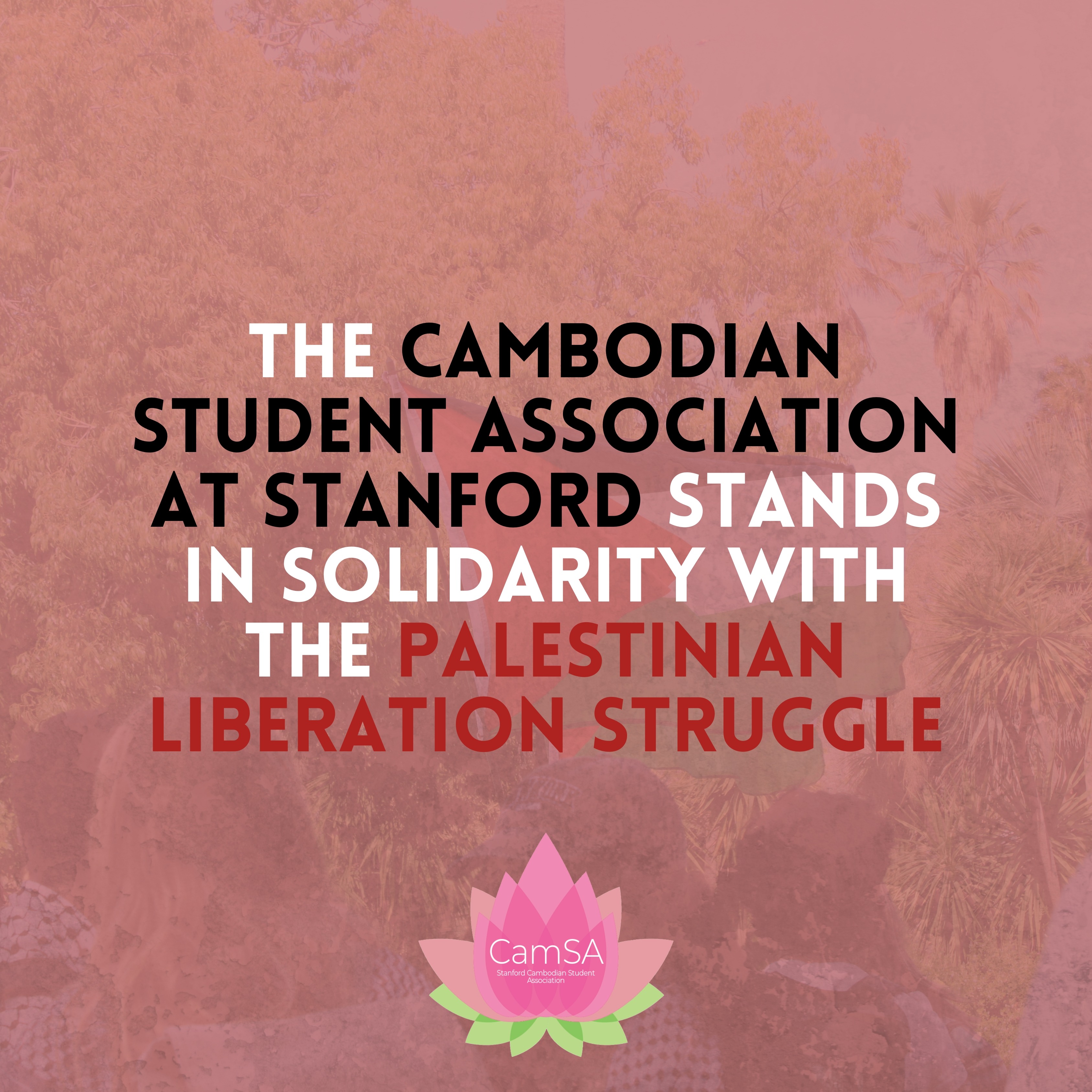 Statement — Palestinian Liberation thumbnail