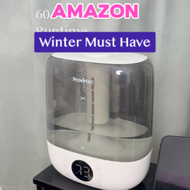 6L Self-Cleaning Humidifier thumbnail