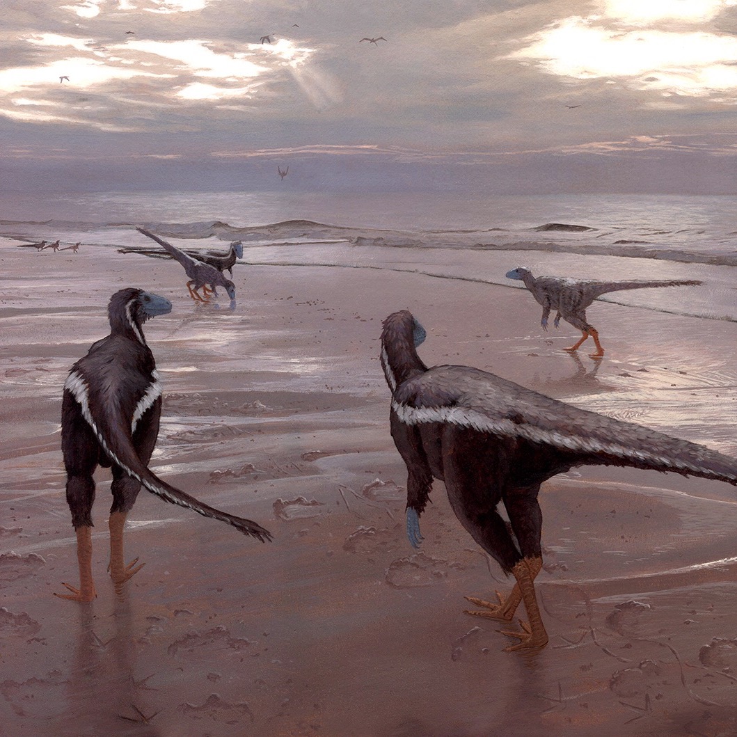 Limited Eocursor Giclée Print thumbnail