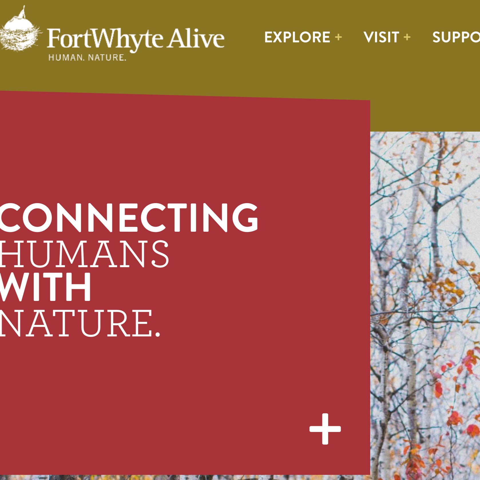 Classroom Resources - FortWhyte Alive thumbnail