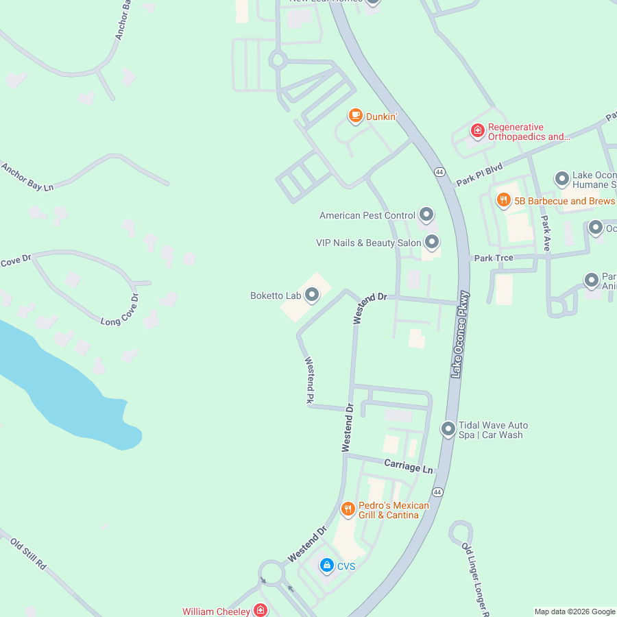 Google Maps thumbnail