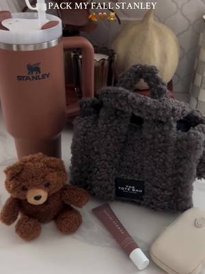 pack my fall Stanley!! 🍂🤎 #packmystanley #fall #amazon #amazonfinds 