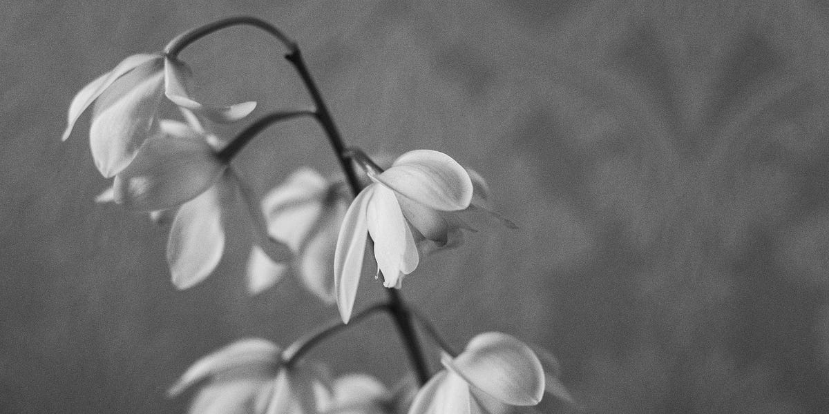 The Unspoken Grief of Awakening thumbnail