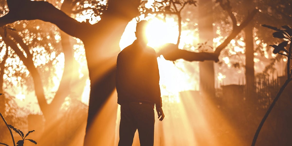 When You’re Afraid to Be Seen thumbnail