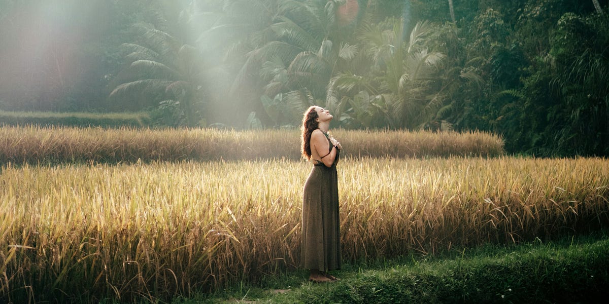 The Felt Sense of Am-ness thumbnail