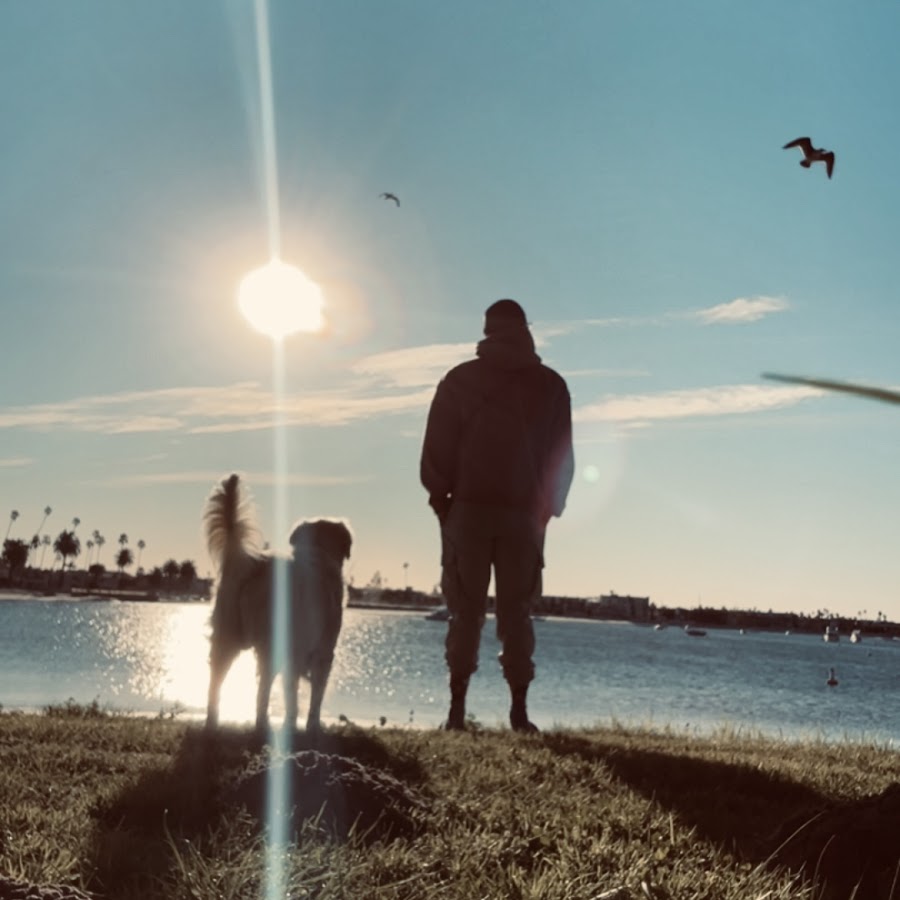 YouTube 🎬🎥🧑🏻‍🦯🐕🔥🪵 thumbnail