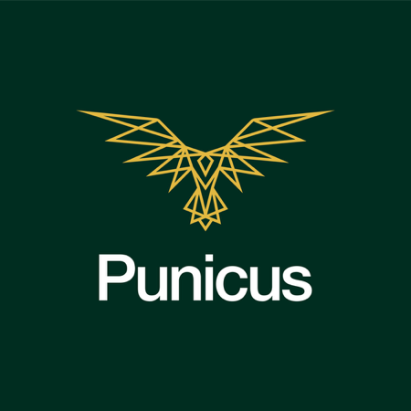 Punicus Consulting thumbnail