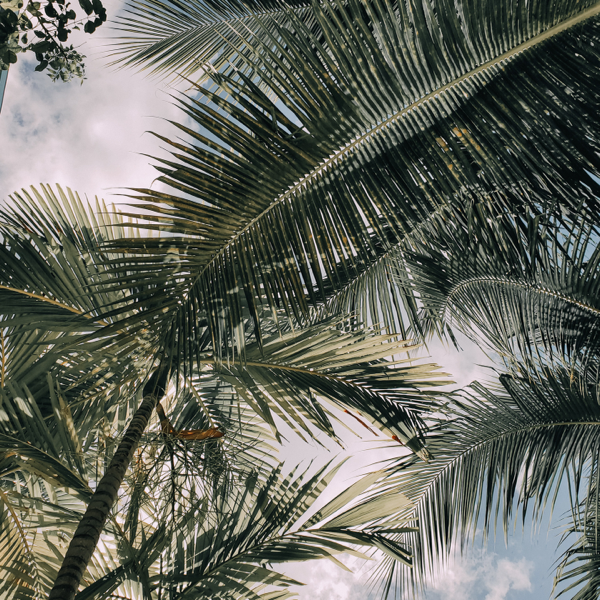 BioSite profile picture for @Miami