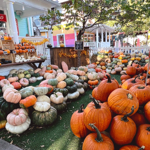Pumpkin Patch at Katiebug's  thumbnail