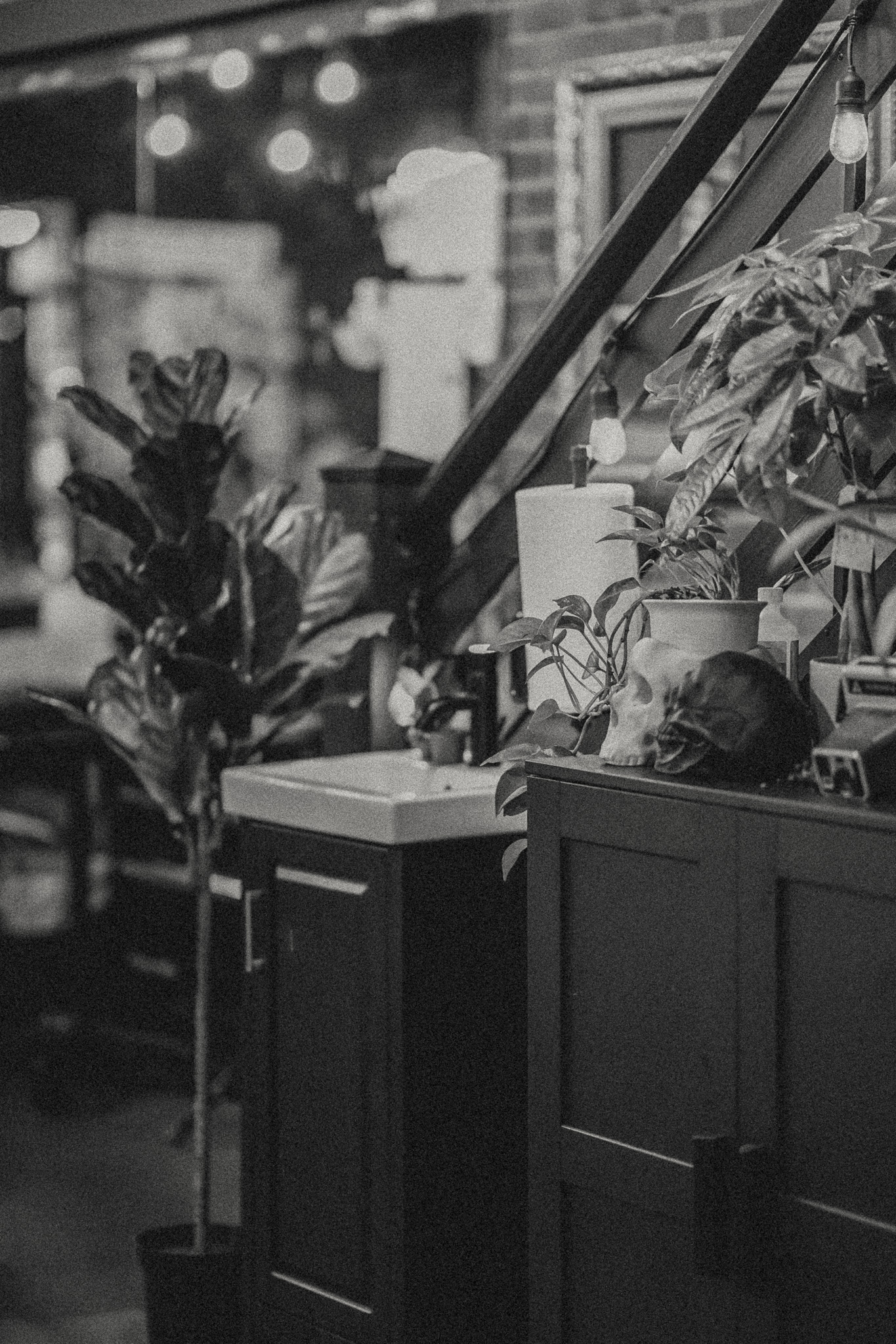 Aftercare Instructions thumbnail