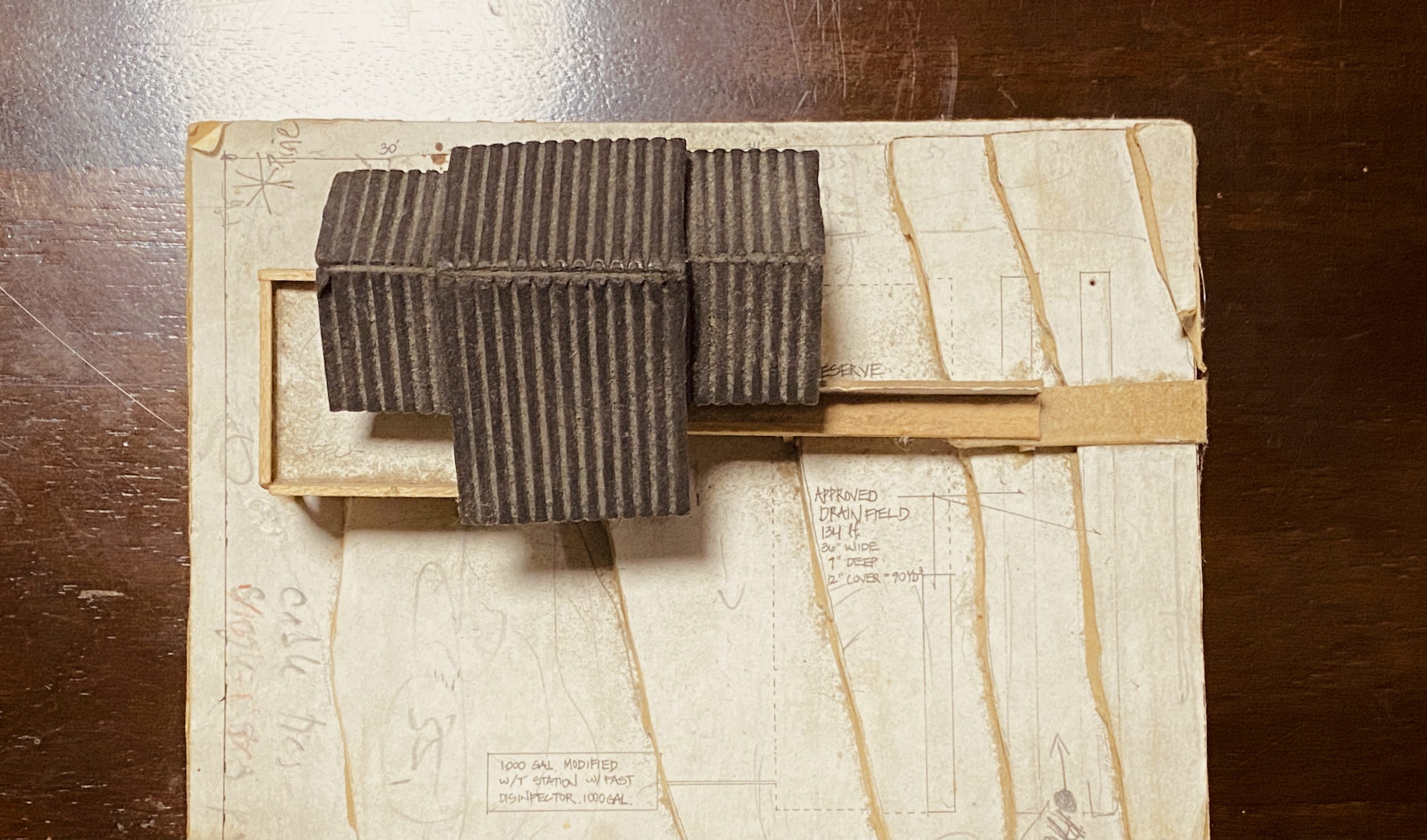 About | Adeline Swires thumbnail