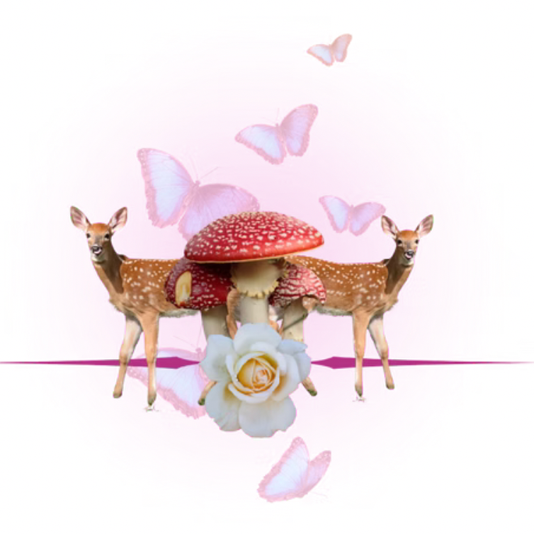 Miraculous Joy Dieta | Amanita Attunement Journey thumbnail