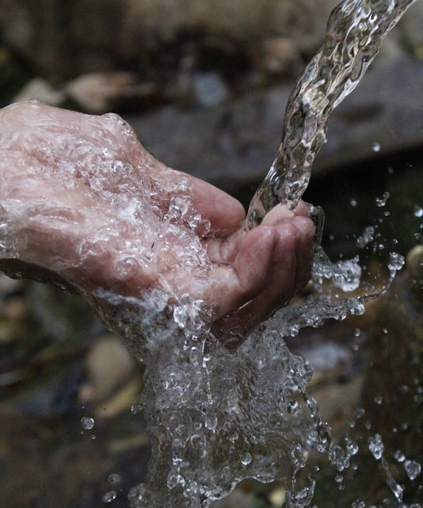 ermi mold test thumbnail