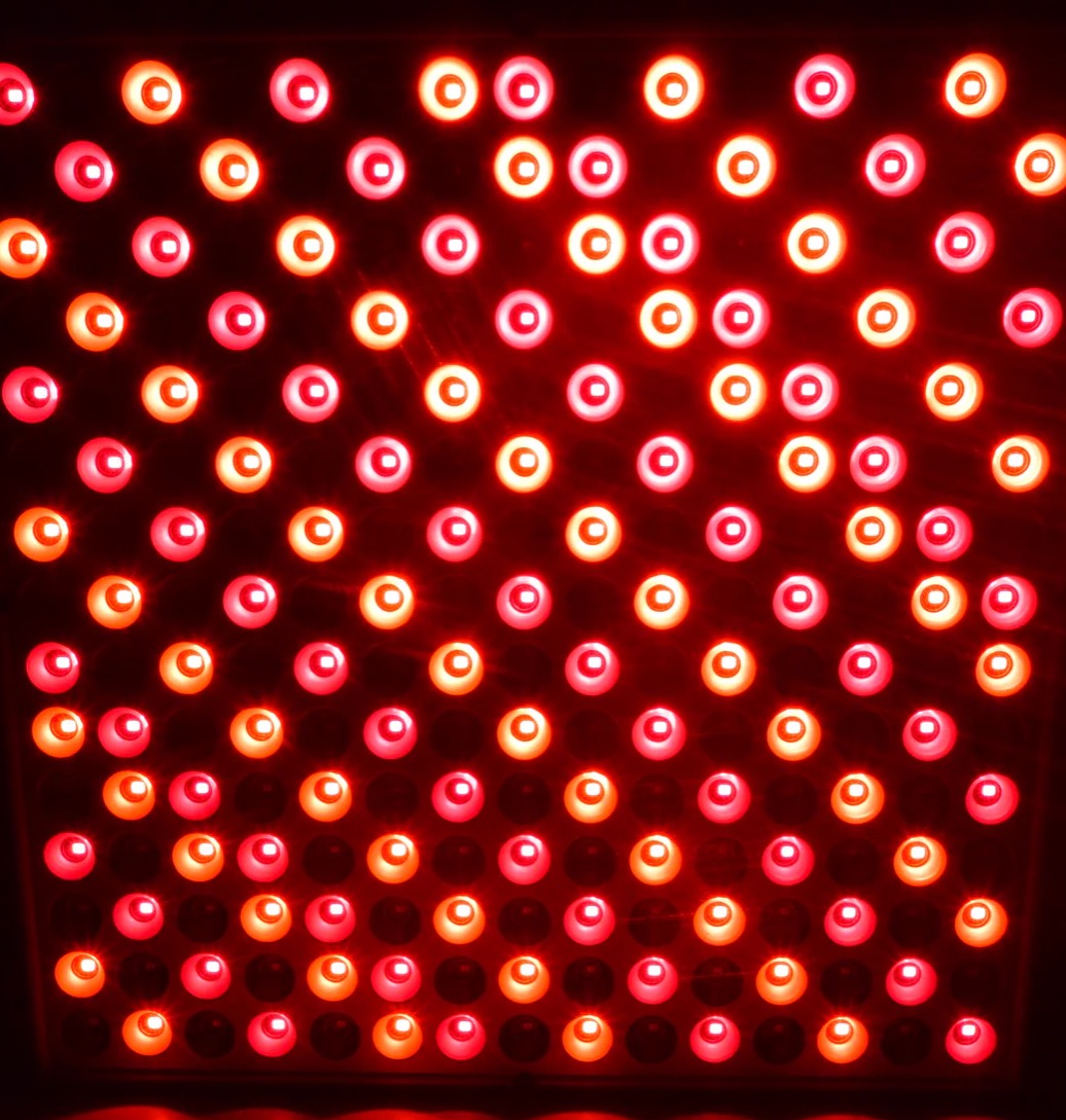 gembared affordable light panel | HOLLIE10 thumbnail